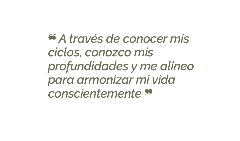 Mis Ciclos - PDF para monitorear integralmente tus ciclos - TABLA QUINCENAL